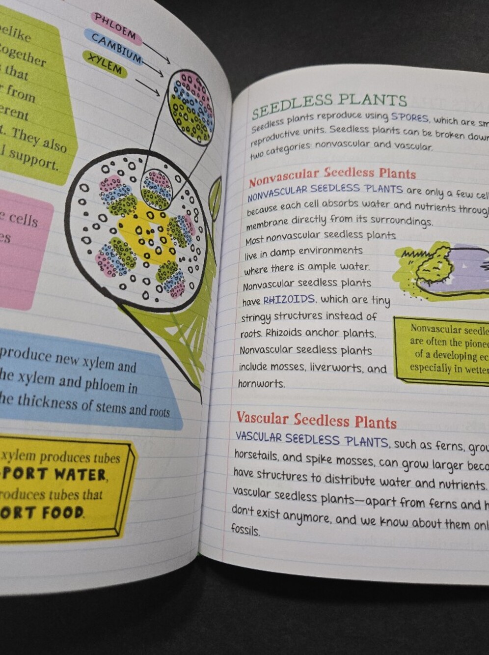 Middle school study guide SCIENCE - Picture 14 of 16